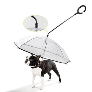 Transparent Dog Umbrella